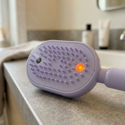 Electric Spray & Massage Hair Brush